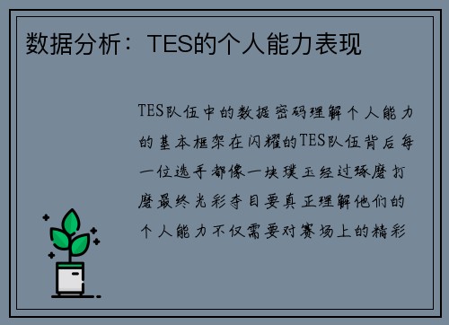 数据分析：TES的个人能力表现